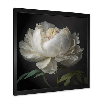 Blooming White Peony VI - Peony Wall Art