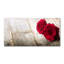 50cm W x 100cm L Glass Peel and Stick Panel