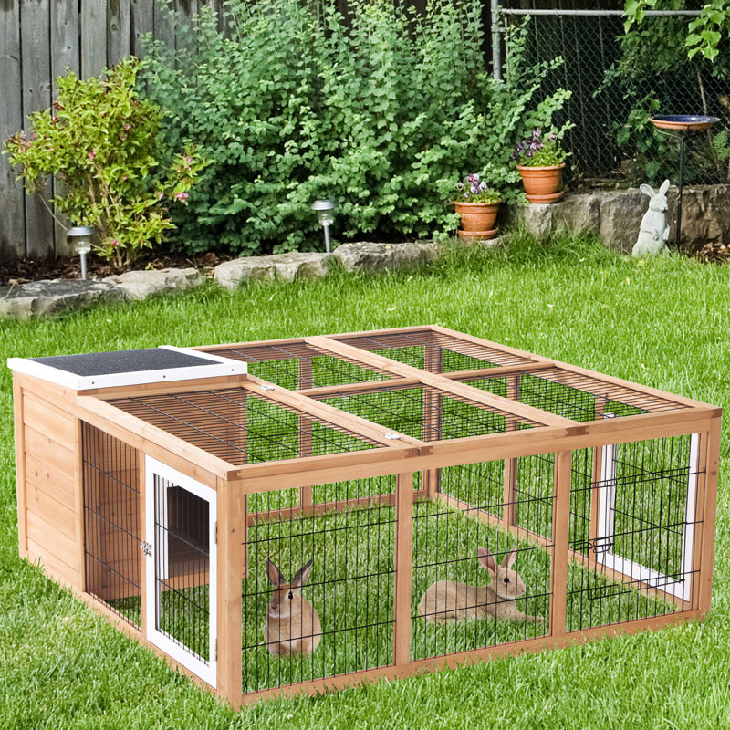 Abri pour cochons d'Inde, chambre principale ouverte, coquille, pour la maison de plaisir des animaux - intérieur soigneusement conçu, résistance aux intempéries, facile à nettoyer