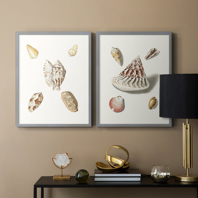 Pastel Knorr Shells VI - reproduction encadrée de qualité supérieure - prête à être accrochée - aucun clou requis - aucun clou requis