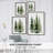Simple Evergreens II Framed Print - Solid Wood-1645794405