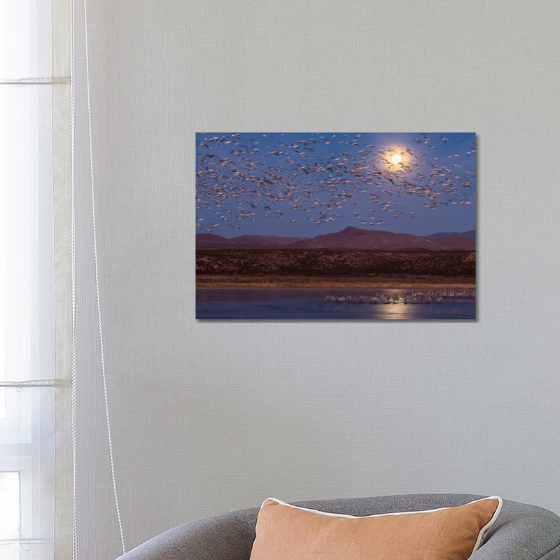 USA, New Mexico, Bosque Del Apache National Wildlife Refuge. Full Moon And Bird Flocks. by Jaynes Gallery - Wrapped Canvas Gallery-Wrapped Canvas Giclée