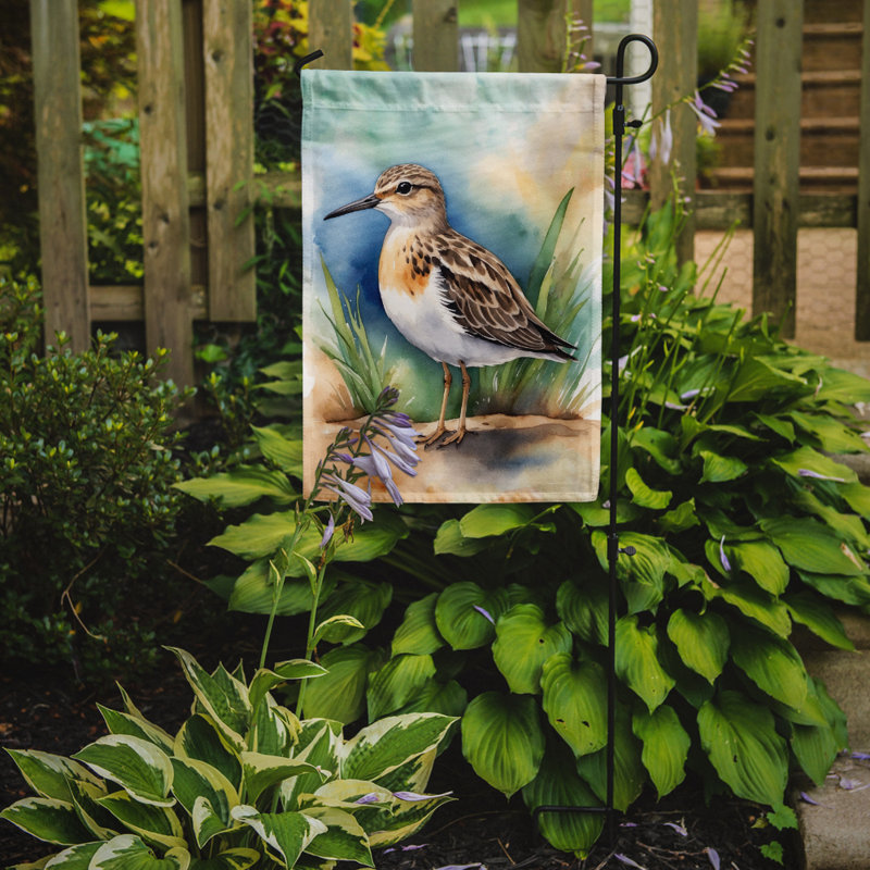 Drapeau de jardin Surfbird Bird, Bécasseau chamois