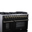 Cuisinière à double carburant autoportante Massimo 48-116493322