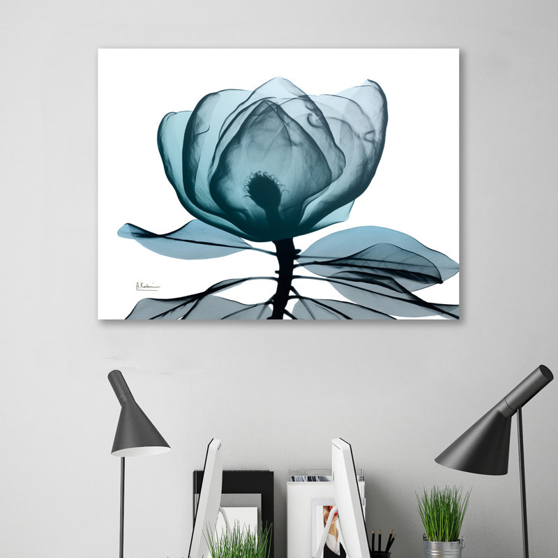 Midnight Magnolia 1 - Wrapped Canvas Print, 30 cm H x 41 cm W