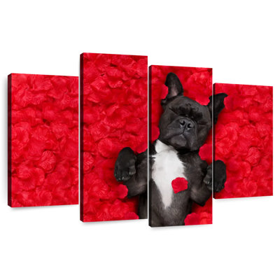 Bouledogue français Brampt Valentines