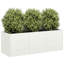 Metal Planter Box-1032581147-1032581148
