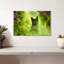 Serious Black Cat-108879304