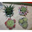 Ensemble de 4 plantes artificielles en ciment