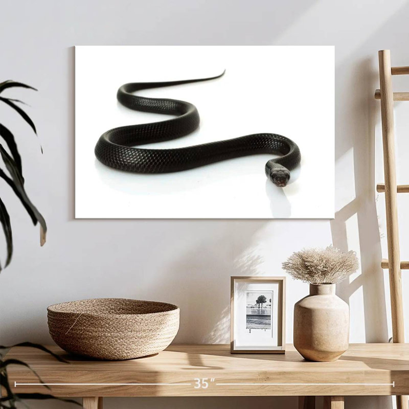 Brampt Eastern Indigo Snake, 16" H x 24" W