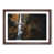 Walnut Framed selected