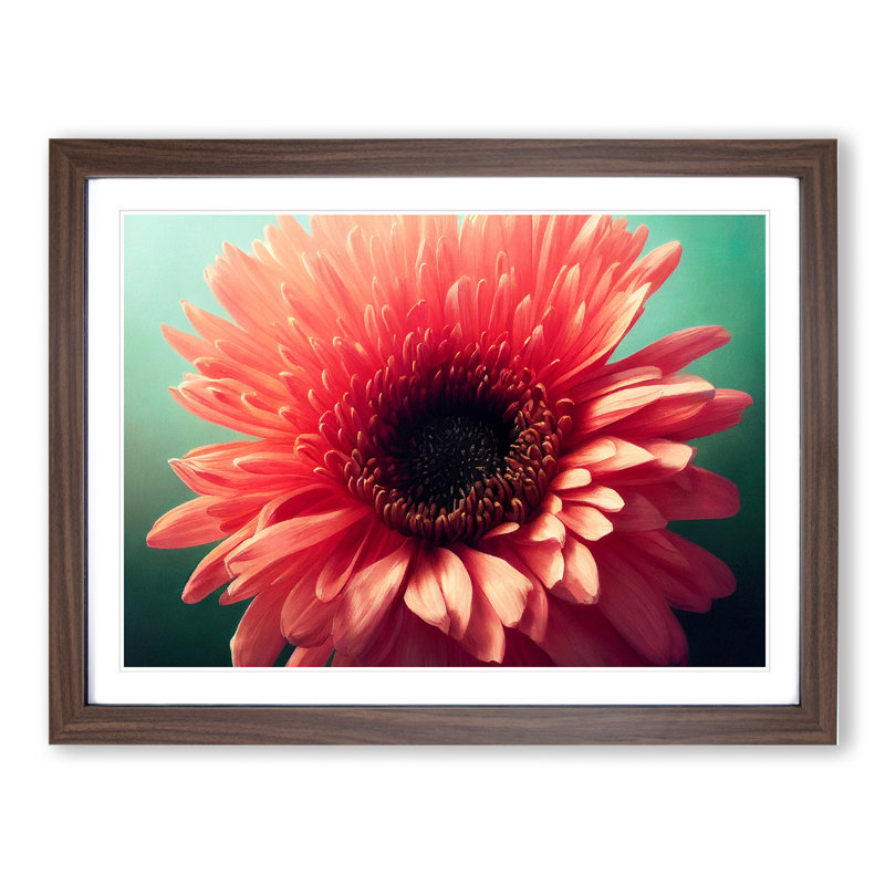 XH1022-8366X Striking Chrysanthemum Flower - Single Picture Frame Print, 25cm H x 34cm W x 2cm D, Walnut Framed