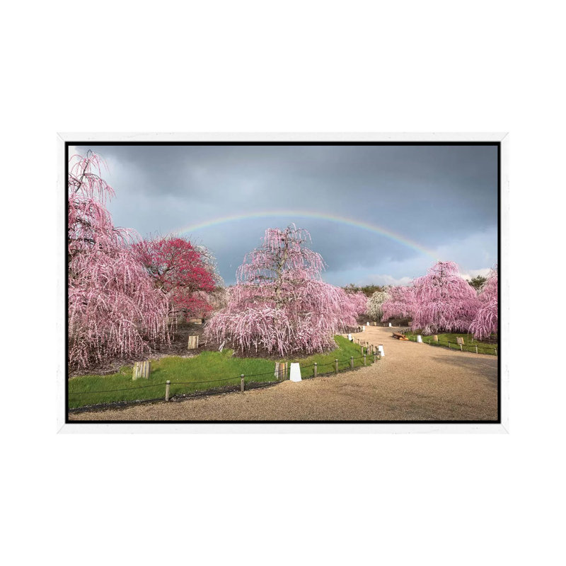 Spring In Japan XIX by Daisuke Uematsu - Print on Canvas, 66.04cm H x 101.6cm W x 3.81cm D, White Framed