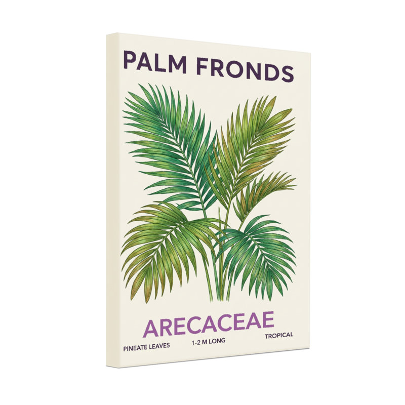 Plantes et fleurs, feuilles de palmier, feuilles d'arec, motif de feuilles tropicales