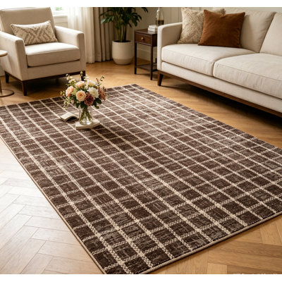 Checkerboard Rug Modern Geometric Checkered Rug Ultra Thin, Washable, Non-Slip Low Pile Carpet for Living Room, Bedroom, Kitchen, Hallway mark Resistant Indoor Floor Mat