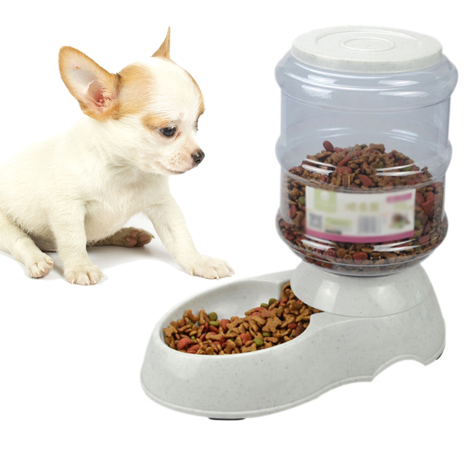 Tucker Murphy Pet™ Dog Bowls For Large DogsDog Water Bowl Cat
