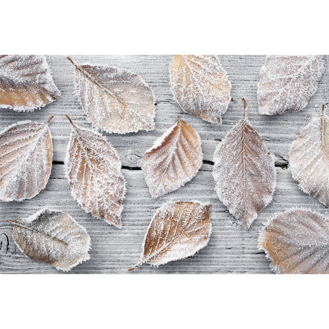 Leaves Covered in Frost von Malerapaso - Kunstdrucke auf Leinwand