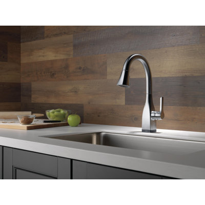 Mateo™ Pull Down Bar Faucet with Accessories