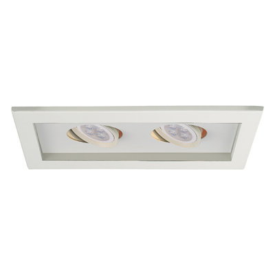 Low Voltage Multiple Two Light Open Recessed Trim