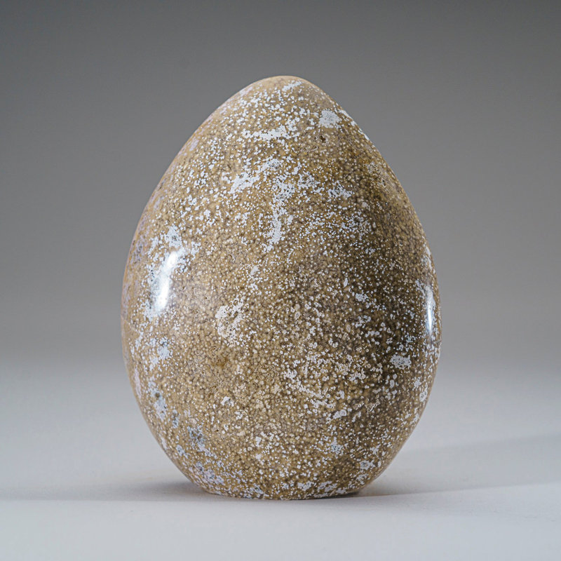 Forme libre de jaspe de l'océan poli de Madagascar (2,6 lb)