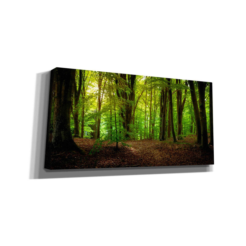 «Summer Forest» par Nicklas Gustafsson, art mural sur toile, 40 po x 20 po, H 12 po x l 24 po x P 0,75 po