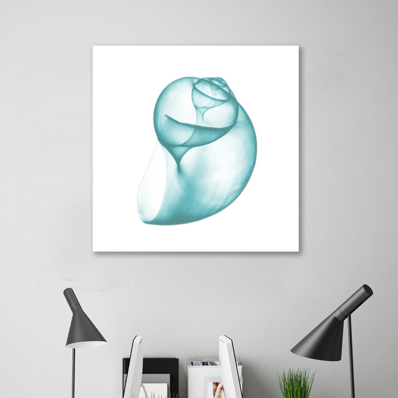 Turquoise Water Snails - Wrapped Canvas Print, 30cm H x 30cm W