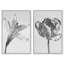 Peeking Flowers Set Set by Oliver Gal-1060062556-1060062558