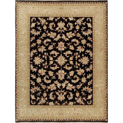 Hand Knotted Oriental Area Rug in Black/Beige