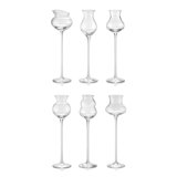 I Distillati Set 6 Assorted Tasting Glass Clear