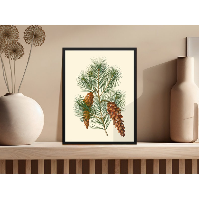 Conlin Single Picture Frame Print, 50.8 cm H x 40.64 cm W