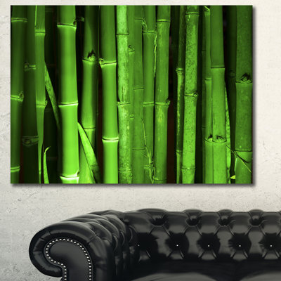 «Green Bamboo Forest», reproduction de photo sur toile tendue