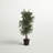 72'' Faux Tree in Wicker/Rattan Basket