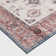 Guitta Washable Oriental Indoor Rug