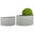 Semicircle Lion Head Planters