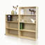 Ellii 105.9cm H x 59.9cm W Standard Bookcase