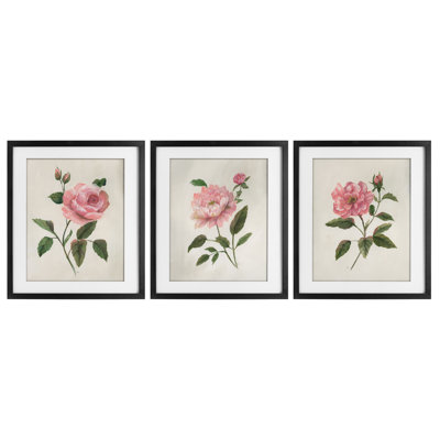 Pink Rosie Rose Florals 3pc Framed Print Under Glass Set, design by Nan