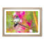 Hummingbird - Framed Print-55579136-55579139