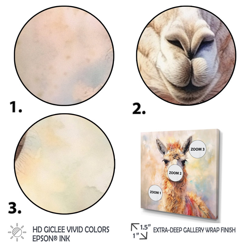 Llama Harmony I - Animals Canvas Print, 30" H x 30" W x 1" D, Silver Single Picture Framed