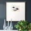 «White and Blue Mallardpremium», reproduction encadrée-88071010-88452046
