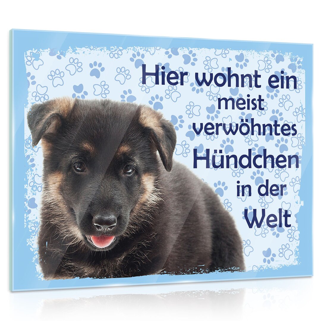 Glasbild Hund