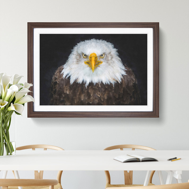 Bald Eagle Bird - Picture Frame Painting Print, Walnut, 62cm H x 87cm W x 2cm D