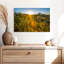 Harnek Cactus Desert Garden-107853985