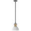Luminaire suspendu à intensité variable 1-E26 Classic