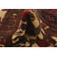 Tapis rouge Orcutt