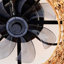 Ventilateur de plafond en bambou 19,6 "avec télécommande, 6 vitesses, ventilateur de plafond réversible à moteur à courant continu pour le salon, la chambre à coucher - AMPOULES NON INCLUSES