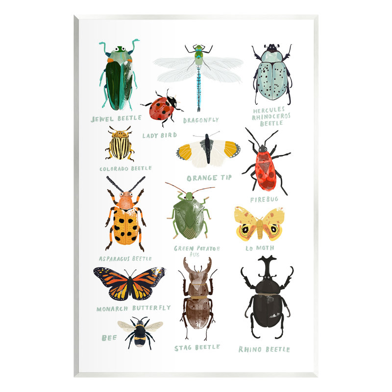 Art éducatif sur plaque «Bug types» par Hanna Melin, H 19 po x l 13 po