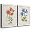 «Botanical I», ensemble de 2 reproductions d'art-271774480-271774482-271774443
