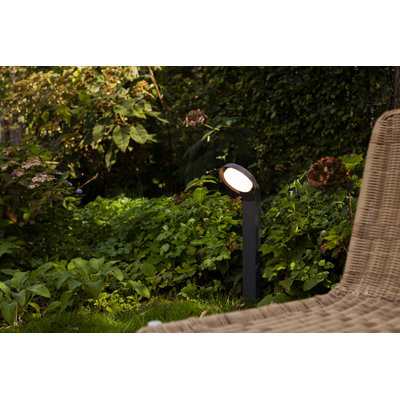LED path light Arzell