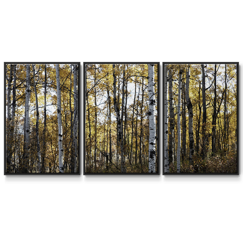 Sunny Grove - Toile encadrée multi-pièces, H 36 po x l 75 po x P 2 po, Noir