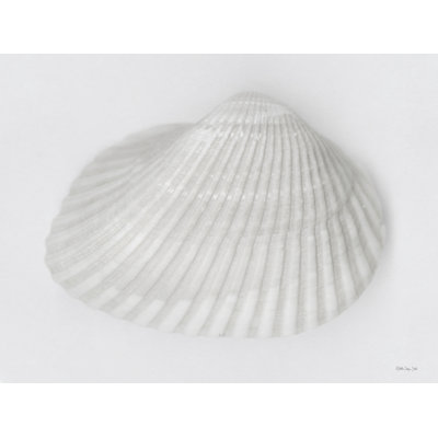" Soft Scallop 2 " by Stellar Design Studio